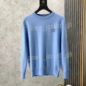 Kvinnors designer Autumn Sweaters Loewees Sweater Crew Neck Knit Sweatshirt Long Sleese Cardigan Hoodie Letter Brodery Winter Clothing 202