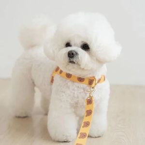 insベアプリントナイロンドッグチェストストラップペット子犬かわいい柔らかくて耐久性のある牽引力のある犬用犬用品小犬231226