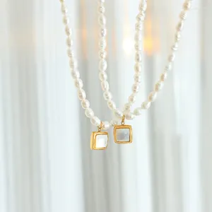 Pendentif Colliers Collier de perles d'eau douce baroque Naturel Blanc Coquillage Clavicule Chaîne Dîner Party Accessoires de mode Étanche