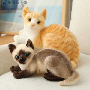 Animais de pelúcia recheados Siame Cats Brinquedo de pelúcia 20/25cm Simulação American Shorthair Cute Cat Pet Toys Lifelike Home Decor Presente de aniversárioL231228