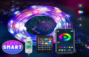 LED Pixel String Işık Açık Bluetooth Uygulama Kontrolü 33ft RGB Noel Işıkları Strip ICRGB USB LED Peri Lamp8032129