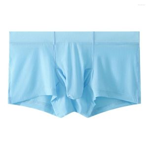 Underpants Sexy Mens Ice Silk Comfy Boxers Elephant Nose Underwear Transparent Bulge Swimwear Beach Boxer Briefs Male Soft Shorts Panties