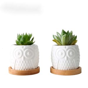 2 Set Ceramic Succulent Flowerpot White Owl Flowerpots With Bamboo Tray Holder Söta kaktusblommor Bonsai Planters Desktop Y200723