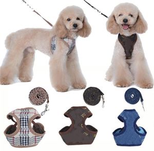 Designer Dog Harness and Leasches Set Classic Patterns Pets Collar Leash Breattable Mesh Pet Desnesses For Small Dogs Poodle Schnau6663679