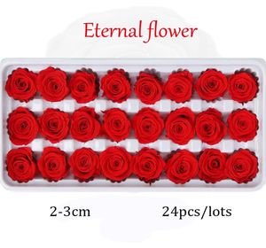 24 st bevarade blommor Rose Immortal Rose Mothers Day Diy Wedding Eternal Life Flower Material gåva Hel torkad blommask Z13744841