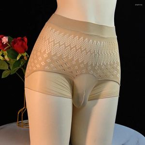 UNDUPTS SEXY MENS Sissy Mesh Panties Bulge Pouch Jockstrap Bikini Kılavuzları G-Strings iç çamaşırı içi boş erotik nefes görmek