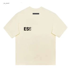 1977 Men Essent T Shirt Designer Solid Color Designer Essent Pullover Sweatshirts Clothing Top Quality Hooded Essentialls 4249