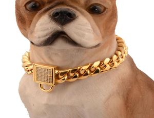 Diamond Buckle Dog Chain 14mm Pet Dog Collar Rostfritt stål Pet Gold Chain Cat Dog Collar Accessories2773798