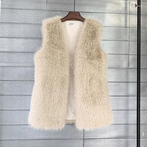 Pelliccia da donna in Europa e negli Stati Uniti Imitazione toscana Gilet lungo invernale Cappotto caldo da donna Morbido.