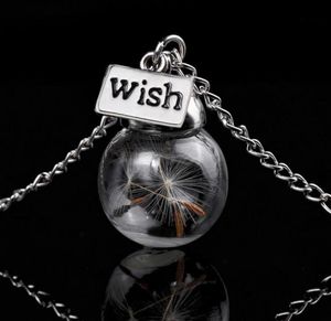 Collana con bottiglia di vetro Semi di tarassaco naturale in collana lunga di vetro Make A Wish Glass Bead Orb Collana in argento placcato gioielli G1258520843