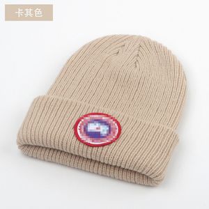 E-handel för höst- och vintermän stickad hatt fritid sport ull hatt ponny broderi joker kall hatt varm hatt.