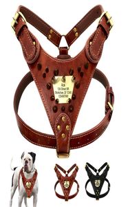 Anpassad läderhund Harness Spiked Studded Pet Vest Personliga ID -sele för medelstora hundar Pitbull Bulldog4502018