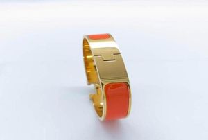 Designer rostfritt stål manschettarmband armband smycken kvinna man 18 färger guld spänne 1719 size1580007