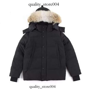 Canda Goose Golden Gose Quality Mens Down Jurtk Goose Coat Real Big Wolf Fur Canadian Wyndham Oversiver Clothing Стиль мода зима 492