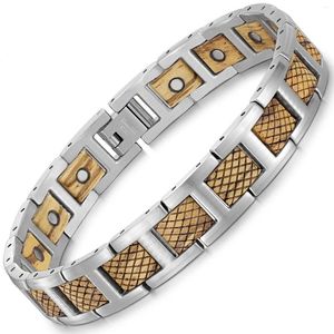 Länk armband regno mode full magnetiska rostfritt stål armband för man sebrawood hälso armband juvelfader gåvor 2024