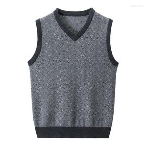 Herrvästar kashmir ullväst 2023 Autumn Winter Stripes Waistcoat Casual V-ringad ärmheter Tröja Pullover Knit