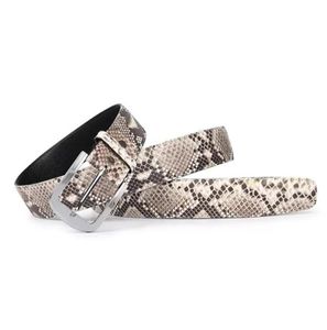 Cintos de luxo autêntico genuíno de pele de cobra de aço inoxidável prata pino fivela homens cinto exótico real verdadeiro python couro masculino cinturas st8904976