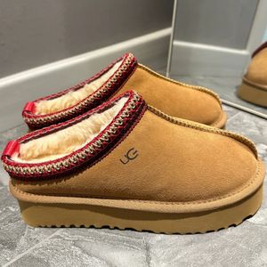 z pudełkowymi kapciami Tazz platforma Tazz Tasman kapcie kasztanowe wełniane kapcie Sheepskin Classic Super Mini Gruste Buty Winter Men's and Women's Plush Buty 7577777