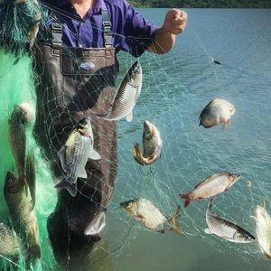 Rede de pesca de fio verde de nylon, de três camadas, de alta qualidade, com armadilha flutuante para peixes de rio, 15 metros e 100 de comprimento 231229