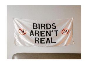 Birds Aren039T Real Flag 3x5ft 150x90cm Digital tryckning 100D Polyester inomhus utomhus hängande med 2 mässing GROMMETS6750279