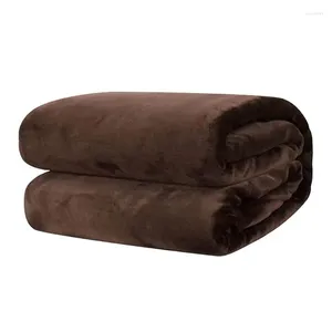 Coperte Trapunta climatizzata Coperta in peluche Mini ultra morbida leggera per divano letto