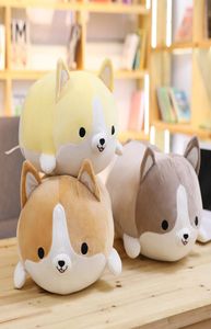 Bemenset bonito corgi cão brinquedo de pelúcia recheado macio animal dos desenhos animados travesseiro adorável presente de natal para crianças kawaii valentine present7477829