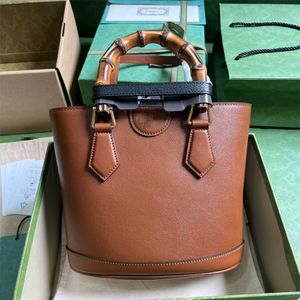 AAA Diana Mini Tote Bag 20cm Designer Bag 10A Mirror Quality Genuine Leather Crossbody Bags Lady Handbag with Box G068 45481