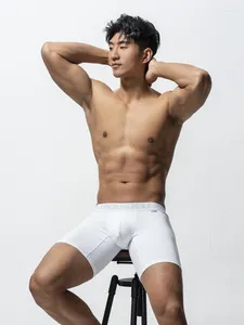Külot pamuk düşük bel vücut şekillendirme düz renkli erkekler spor iç çamaşırı boksör şort pantolonu nefes alabilen sıkı kavurma anti-kıvırma