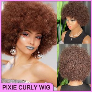 Malaysisk peruansk indisk brasiliansk brun färg 100% rå Remy Virgin Remy Human Hair Kinky Curly Pixie Cut regelbunden kort peruk