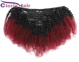 Burgundy Ombre Afro Kinky Curly Clip in Extensions Malaysian Human Hair Weave ملون 1B 99J رأس كامل 8pcs/مجموعة 120 جرام على المدى 7881931