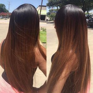 Wigs Lace Front Human Hair Wigs Ombre Two Tone T1B/30 Silky Straight Malaysian Virgin Hair 150 Density Natural Hairline Bleached Knots