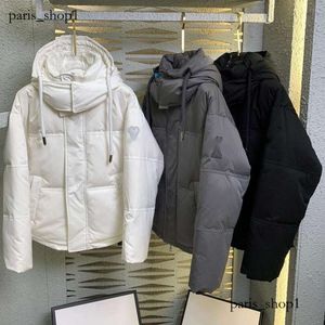 Monclair Jacket 2023 New Amy Men's and Women's Fleece Fleece Fashion Designer Down Coat High Quality White Goose Aais Jacket 929 918