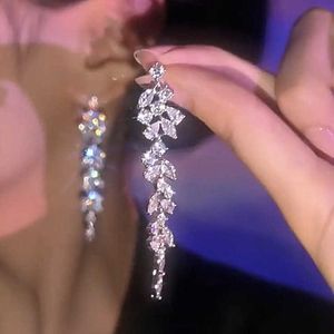 2024 Tasarımcı S925 Gümüş İğne Abartılı Uzun Püskül Zirkon Küpeler Kadınlar Instagram Modaya Modaya Modaya Gizli Küçük Popüler Küpeler Net Kırmızı Küpe Fabrika Outlet
