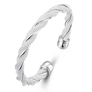 LuckyShine 925 Silver 10 Piece New Product Charm Handmade Armband Antique Silver Armband Bangles for Women Holiday Party B0004174E