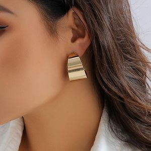 Hoop Earrings Simple Round Circle Geometric C Shapled Women Goth Gold Color Thick Metal Piercing Hoops Y2K Accessories