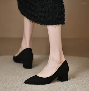 Dress Shoes Spring And Autumn Ladies' High Heels Black Plus Velvet Work Womens