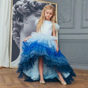 Girl Dresses Flower Dress Blue Layered Gradient Tulle Wedding Elegant Child's First Eucharistic Birthday Party Gift