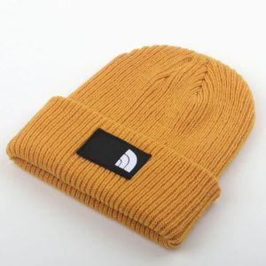 Projektantka czapka jesienna zima ciepły kapelusz kapelusz unisex mody street kapelusze zwykłe czapkę czapkę Northface NF0A3fjxi0i/s Mankieczka Beanie 10 kolorów do wyboru