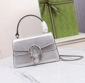 Diony SUS Designer Bags Sags Bags Totes Messenger Bag Женщины классическая роскошная сумочка