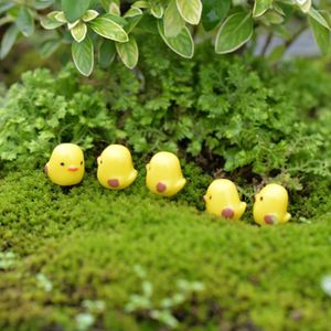 Garden Decorations 60 Pcs Micro Landscape Little Bathroom Tiny Ducks Statue Animal