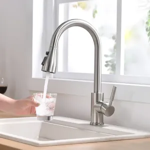 Kitchen Faucets Faucet Brushed Nickel Color Surface And Cold Water Sink Pull-out Single Hole