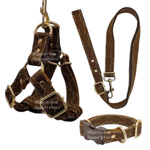 Designer Dog Collar Leash Set No Pull Dog Harness med Classic Jacquard Letter Mönster, Nylon Steg i små medium stor valpväst utomhus Easy Walking Brown XL B213