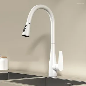 Rubinetti della cucina Rubinetto estraibile Lavello per balcone Lavabo per verdure Pressurizzazione a prova di spruzzi d'acqua e freddo