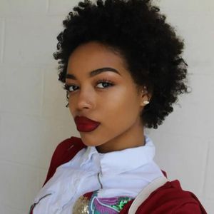 Wigs hot fashion hairstyle brazilian Hair African Ameri short kinky curly wigs Simulation Human Hair short curl wig in stock