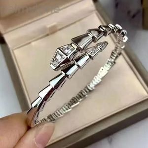 Bangle 925 Sterling Silver Hanging Charm Armband Basic Chain With Diamond Bulga Jewelry Arl Wholesale Bead Snake Bone Chain Armband Wit