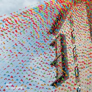 Banner Flags 100 Metri Ghirlande di tessuto di colore puro Compleanno Bunting Pennant Party Wedding Ghirlanda Decorazione esterna 230701