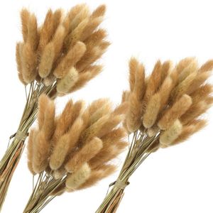 Dried Flowers 70pcs Home Decor Natural Reed Grass Flower Arrangement Wedding Party Table Room