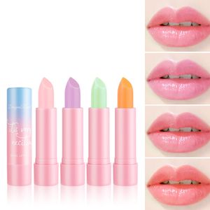 Lip Tint Stain Set Lip Gloss Plumping Mini Liquid Lipstick Tinta labbra e guance multiuso a lunga durata