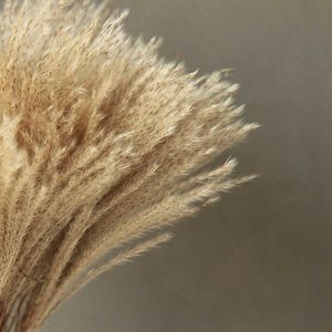 Getrocknete Blumen, 30/45 Stück, Kunstrasen, große Schilfrohrfedern, Pflanzen, Phragmites-Blumenstrauß für Zuhause, Hochzeitsdekoration