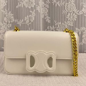 Luxury Small Hobo Woman Handbags Leather Buckle Chain Underarm Package Borse di design semplici Borse a tracolla da donna a cinque colori Classici